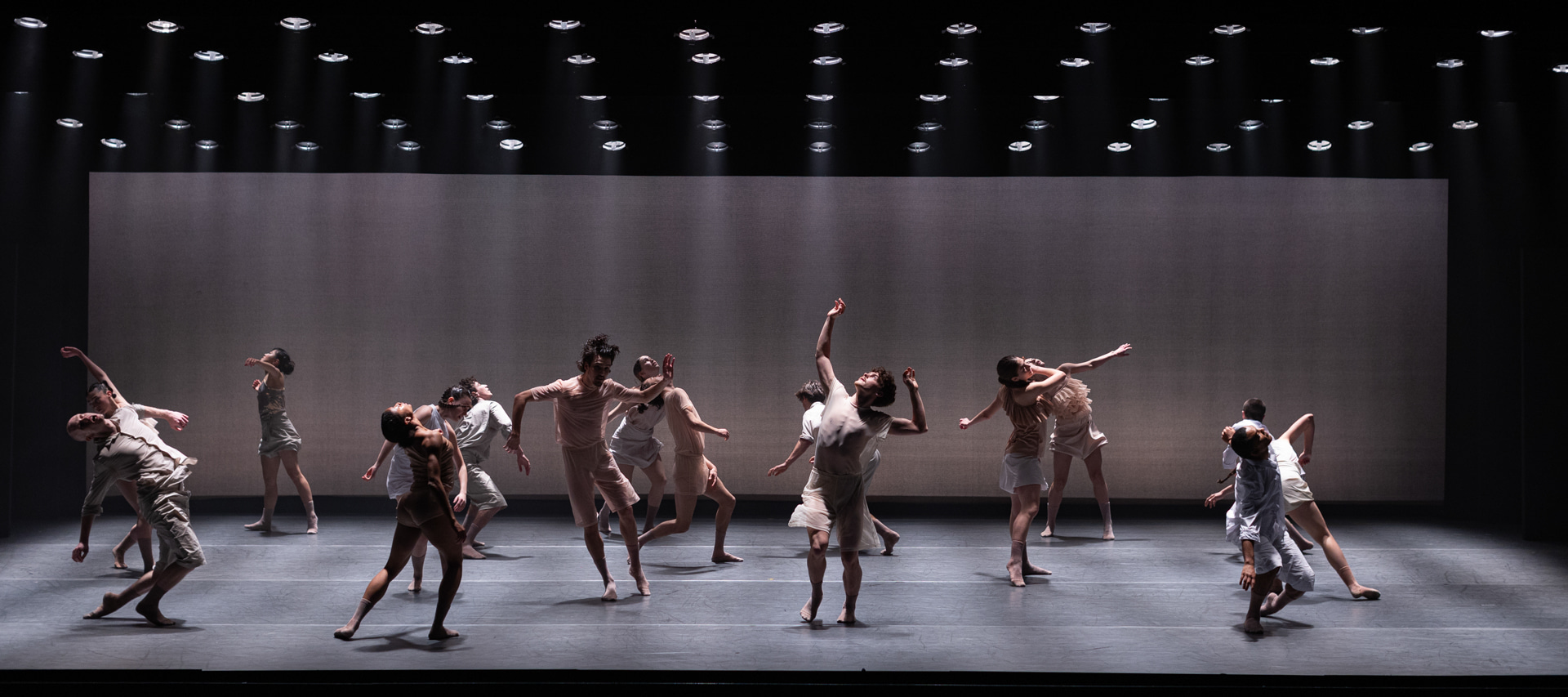 ניכוס ניכוס